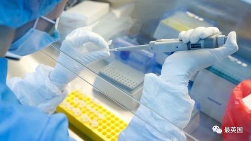 中國疫苗保護率近80 ,牛津疫苗官宣4天后開打